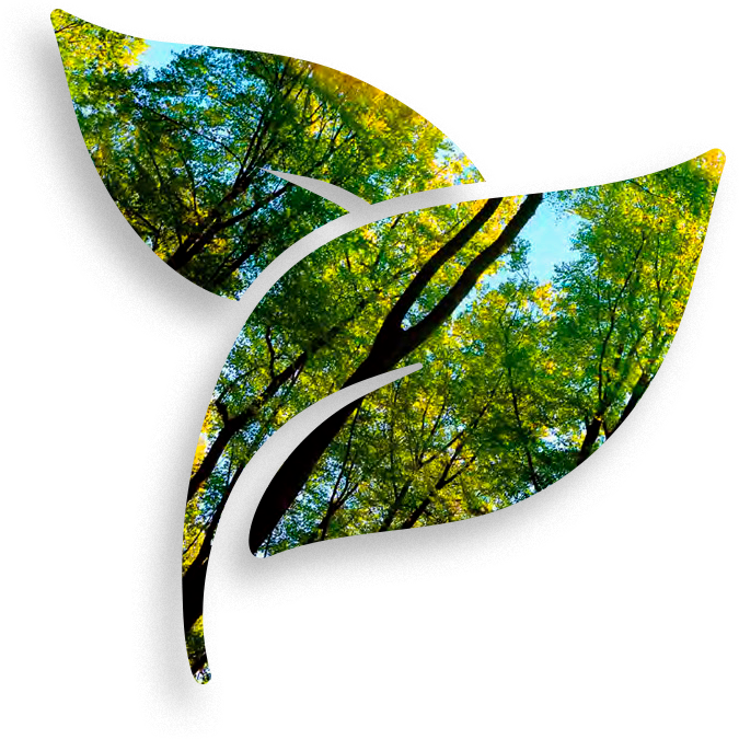 environment-leaves-icon